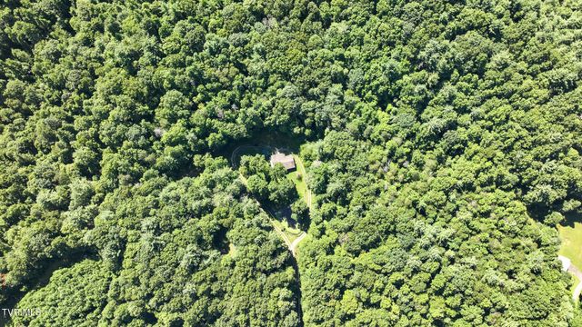 390 Fiddlers Branch Road, Hampton, TN 37658