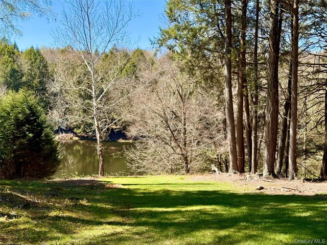 61 Pioneer Drive, Swan Lake, NY 12783
