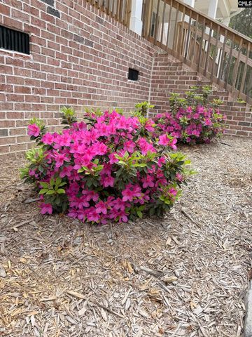 3839 Two Notch Road, Gilbert, SC 29054