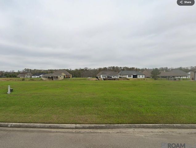 21449 Bluefin Dr, Springfield, LA 70462