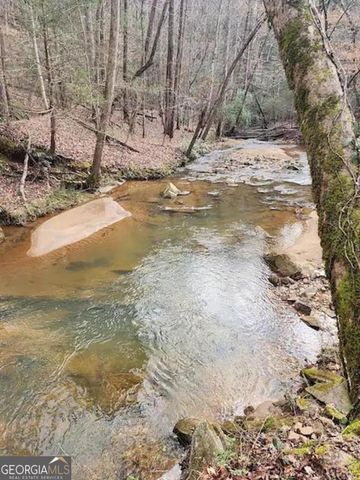 496 Beaver Dam Road, Dahlonega, GA 30533