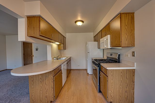 196 Park Ridge Lane, Aurora, IL 60504