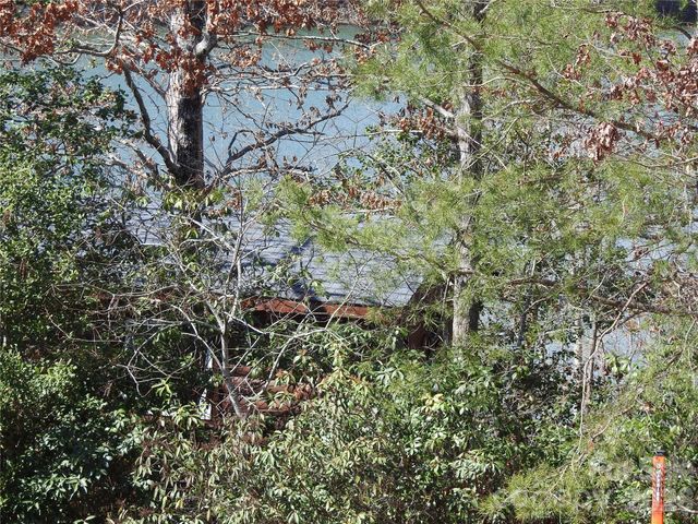 00 Laurel Lakes Parkway 2, Lake Lure, NC 28746