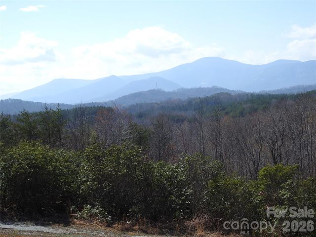 00 Laurel Lakes Parkway 2, Lake Lure, NC 28746