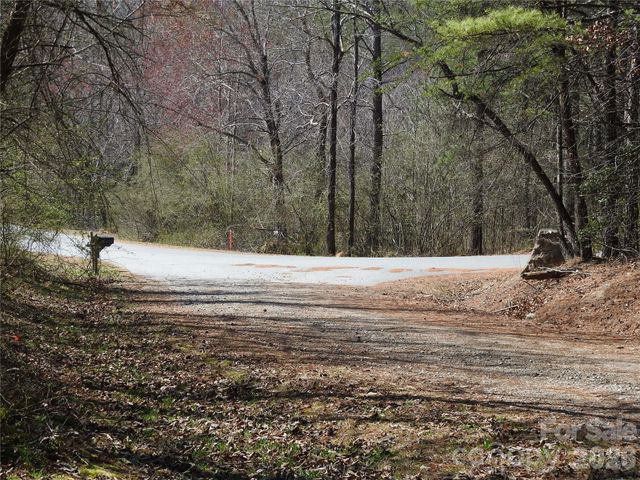 00 Laurel Lakes Parkway 2, Lake Lure, NC 28746