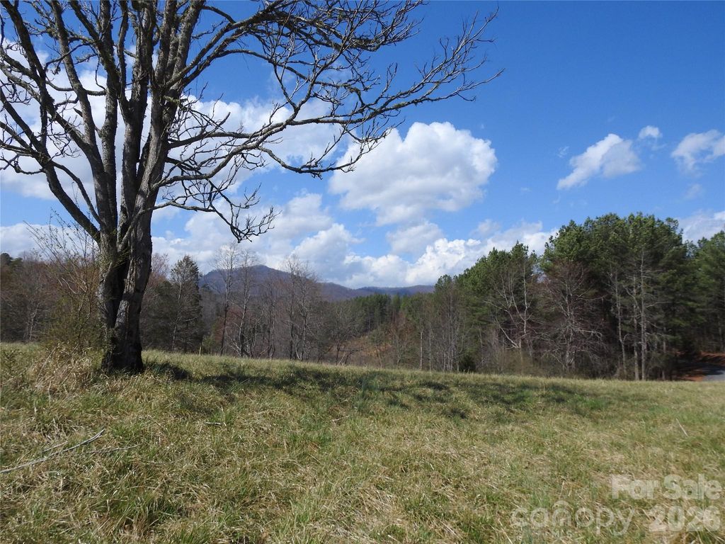 00 Laurel Lakes Parkway 2, Lake Lure, NC 28746