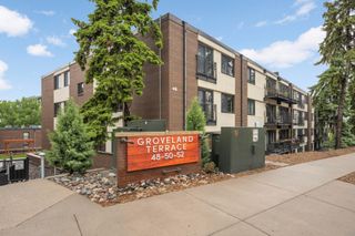 48 Groveland Terrace B206, Minneapolis, MN 55403