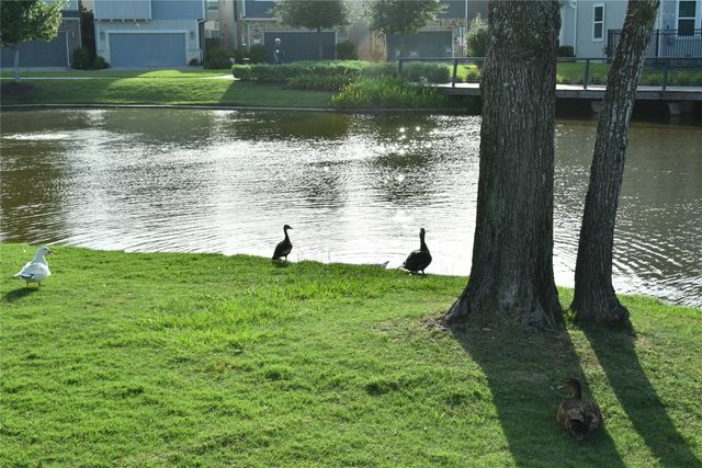 9907 Smokehouse Silo Lane, Houston, TX 77080