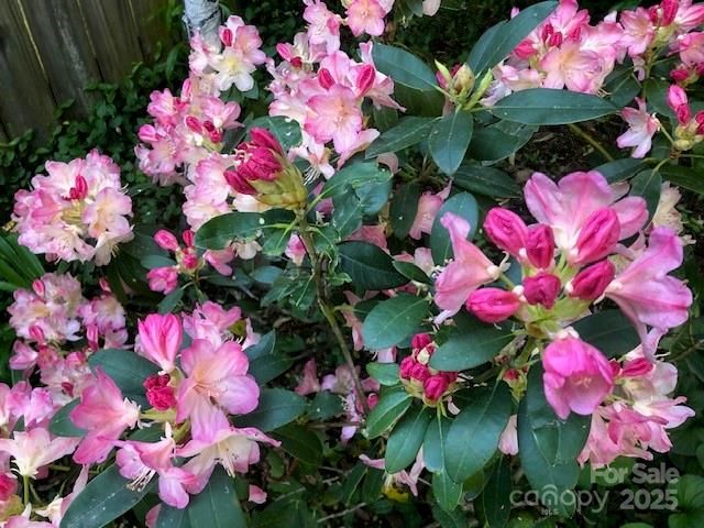 9 Glen Meadows Road, Arden, NC 28704