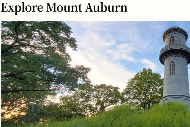 18 School Lane 1, Watertown, MA 02472