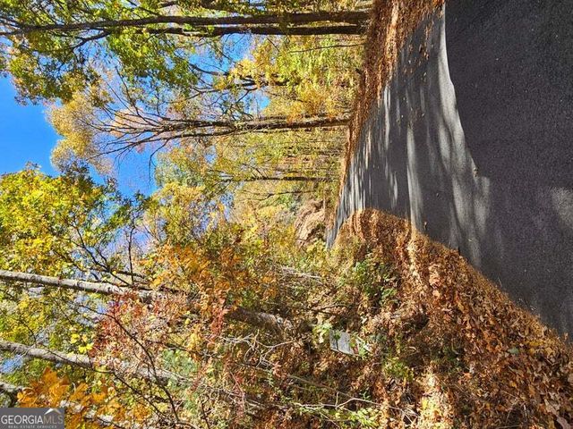 0 Confederate Drive, Clayton, GA 30525