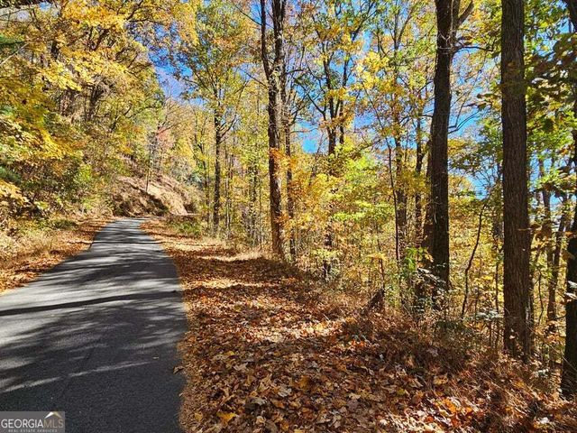 0 Confederate Drive, Clayton, GA 30525