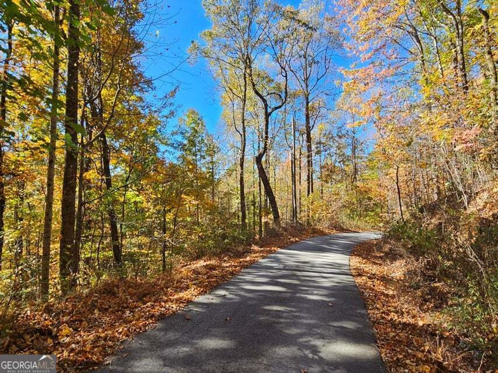 0 Confederate Drive, Clayton, GA 30525