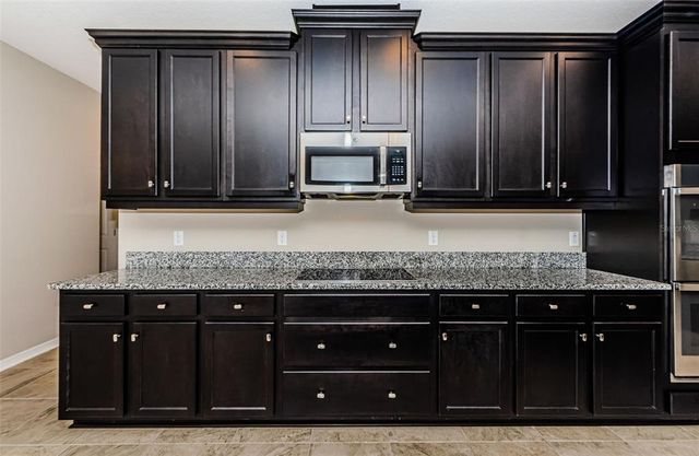 33161 KATELAND DRIVE, Wesley Chapel, FL 33545