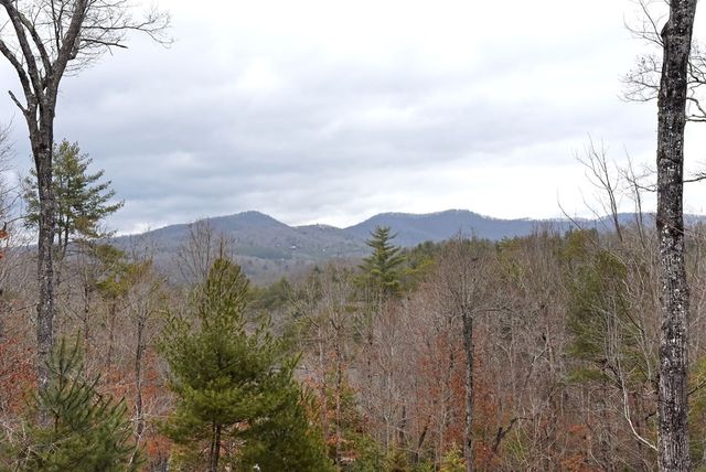 120 Aska Forest Trail, Blue Ridge, GA 30513