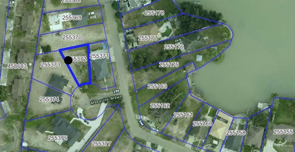 209 Mesquite Street, La Joya, TX 78589