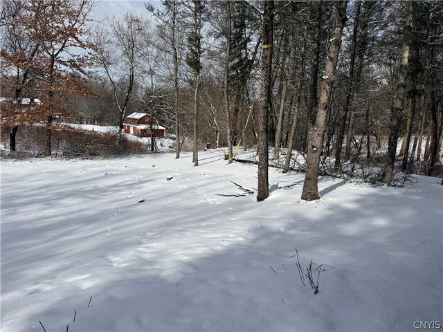211 Sweetland Road, Virgil, NY 13045