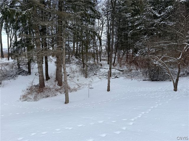 211 Sweetland Road, Virgil, NY 13045