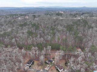 Lot 2 HENDERSON ROAD, Odenville, AL 35120