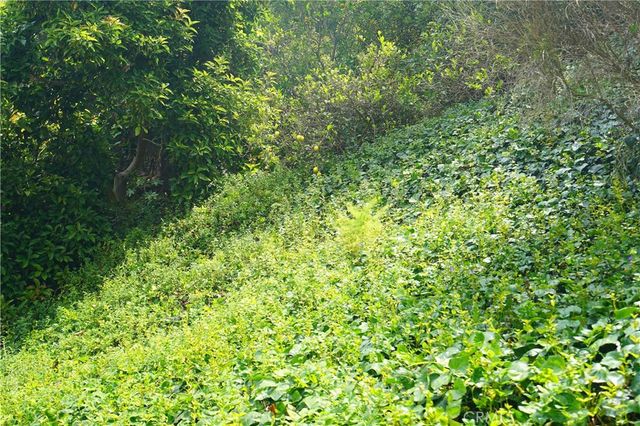 1364 Braeridge Drive, Beverly Hills, CA 90210