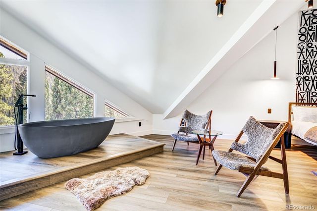 324 Carroll Lane, Breckenridge, CO 80424
