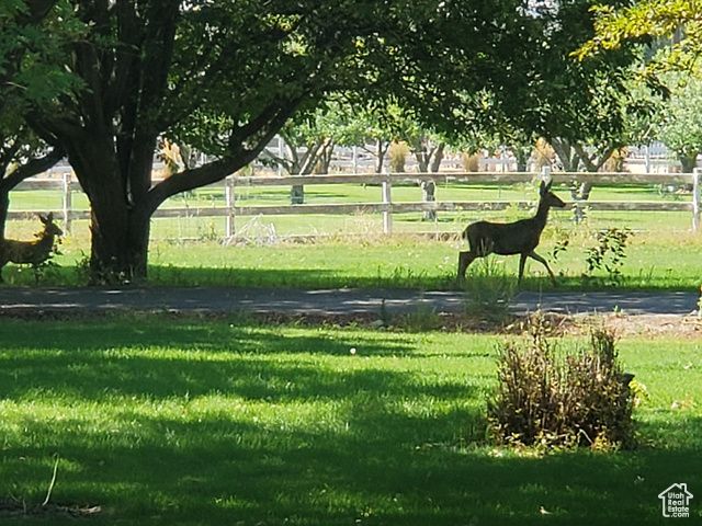 1495 E 2300 N, North Logan, UT 84341