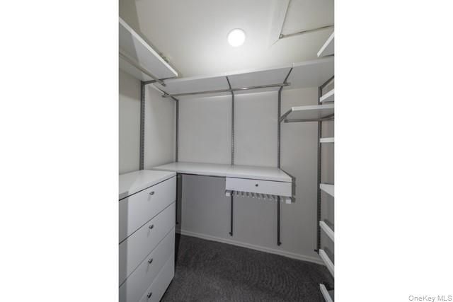 62 Neal 62, Setauket, NY 11733