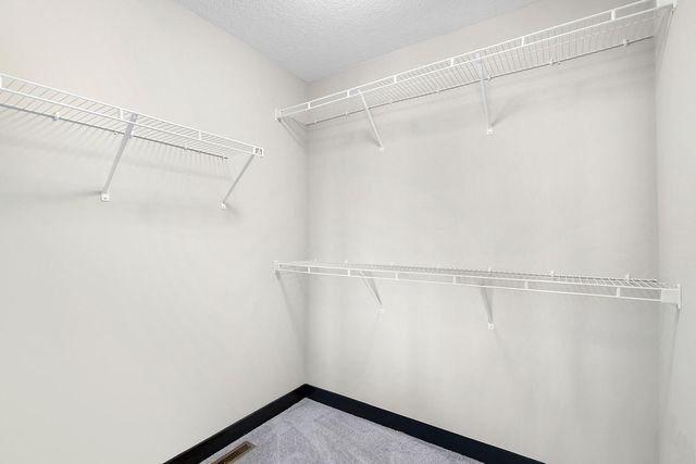 13566 Birdsong Path, Rosemount, MN 55068