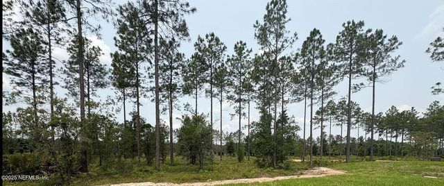 36215 PITCH Lane, Hilliard, FL 32046