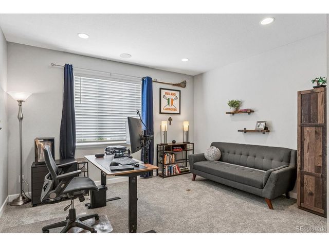 5894 Berry Ridge Way, Castle Rock, CO 80104