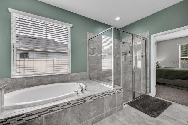 17651 BRIGHT WHEAT DRIVE, Lithia, FL 33547