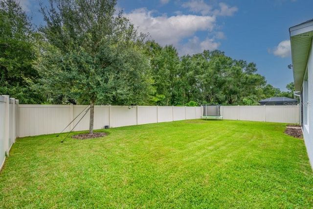 17651 BRIGHT WHEAT DRIVE, Lithia, FL 33547