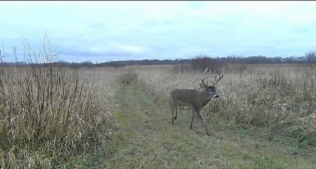 17168 263rd Avenue, Paynesville, MN 56362