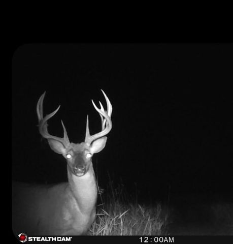 17168 263rd Avenue, Paynesville, MN 56362