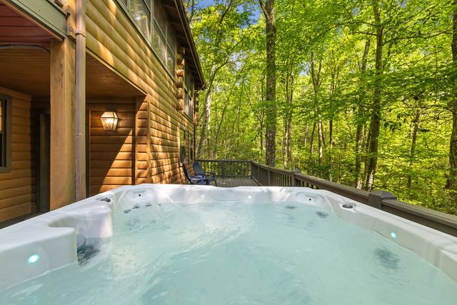 556 Cherry Lake Drive, Cherry Log, GA 30522
