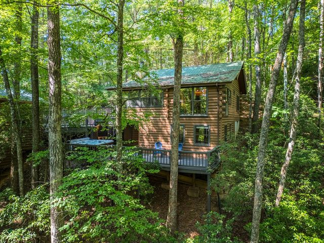 556 Cherry Lake Drive, Cherry Log, GA 30522