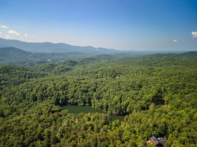 556 Cherry Lake Drive, Cherry Log, GA 30522