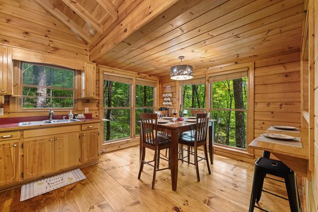 556 Cherry Lake Drive, Cherry Log, GA 30522