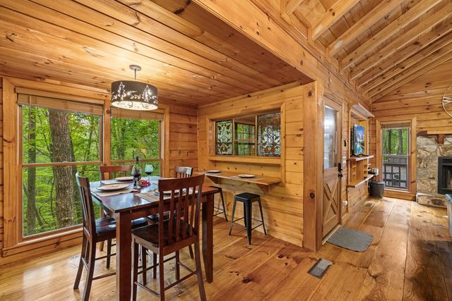 556 Cherry Lake Drive, Cherry Log, GA 30522