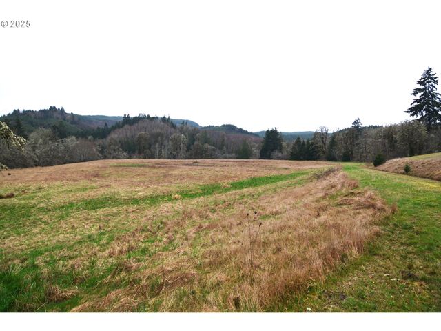 1397 STATE ROUTE 506, Vader, WA 98593