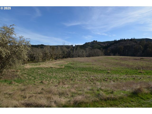 1397 STATE ROUTE 506, Vader, WA 98593