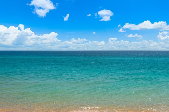 1578 S Ocean Lane 115, Fort Lauderdale, FL 33316