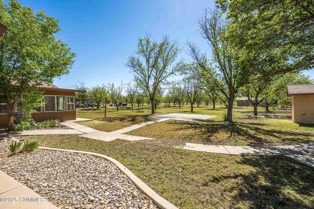 8030 Raging Bull Place, Mesilla Park, NM 88047