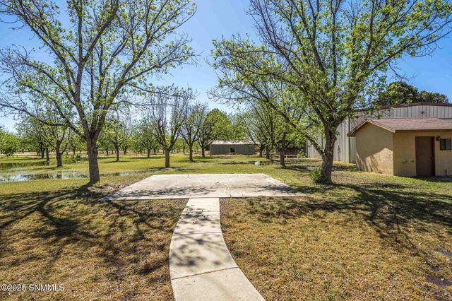 8030 Raging Bull Place, Mesilla Park, NM 88047