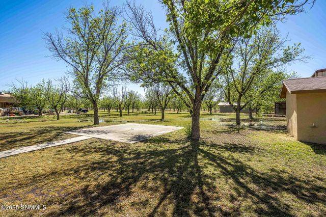 8030 Raging Bull Place, Mesilla Park, NM 88047