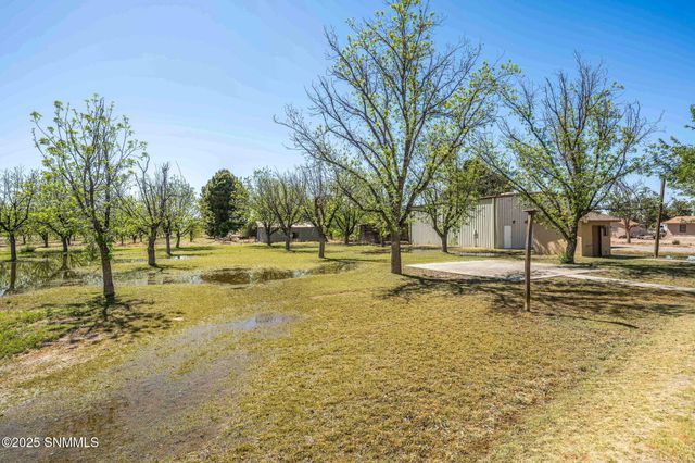 8030 Raging Bull Place, Mesilla Park, NM 88047