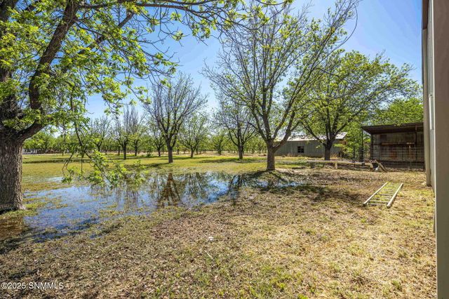 8030 Raging Bull Place, Mesilla Park, NM 88047