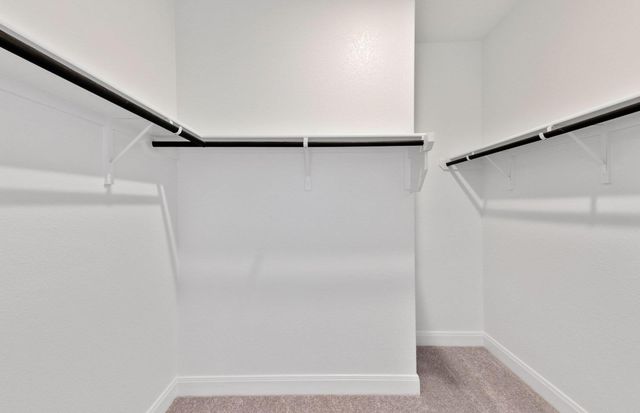 108 Blackfoot Daisy PATH, San Marcos, TX 78666