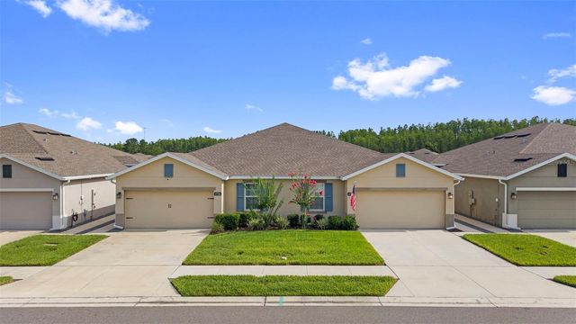 17784 TURNING LEAF CIRCLE, Land O Lakes, FL 34638