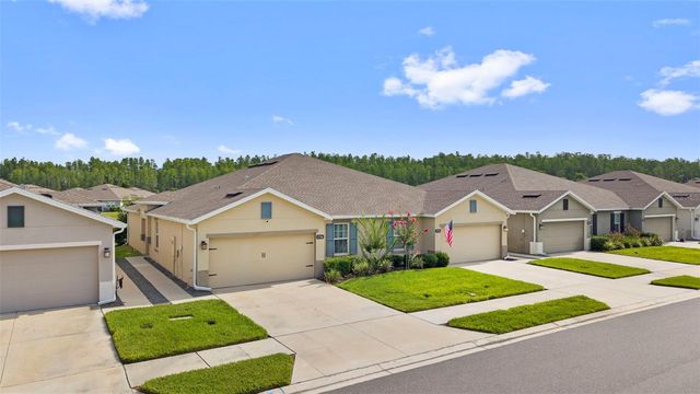 17784 TURNING LEAF CIRCLE, Land O Lakes, FL 34638